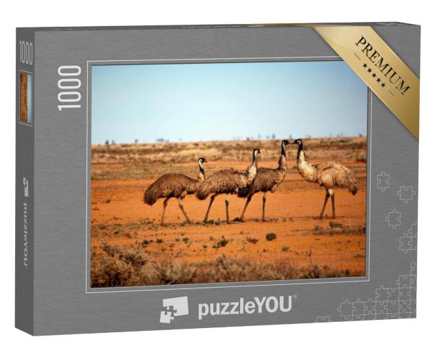 Puzzel 1000 stukjes „Emoes in het wild, Outback New South Wales, Australië.“