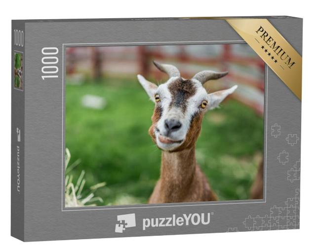 Puzzel 1000 stukjes „Close-up: schattige geit in de wei“