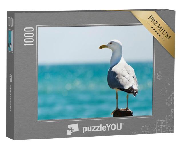 Puzzel 1000 stukjes „Zeemeeuw met een aandachtige blik over de zee“