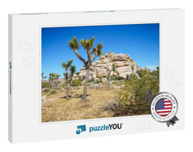 Joshua Tree National Park in the Usa... Jigsaw Puzzle