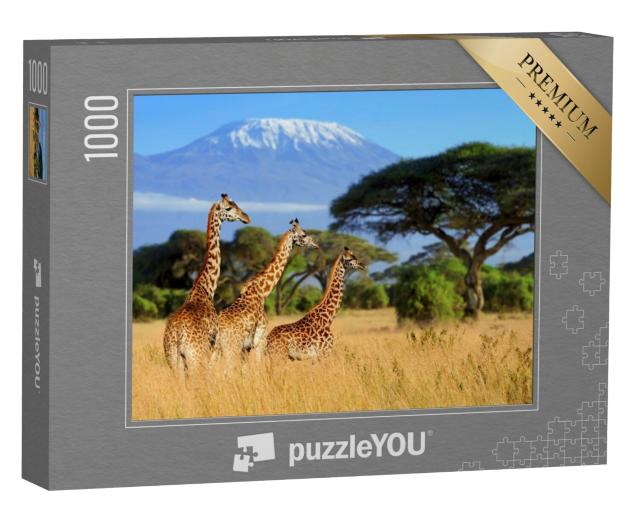 Puzzel 1000 stukjes „Giraffen voor de Kilimanjaro, nationaal park van Kenia, Afrika“