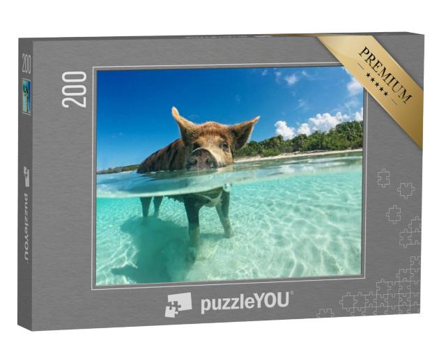 Puzzel 200 stukjes „Waterminnende wilde zwijnen op de Bahama's, Caribisch gebied“