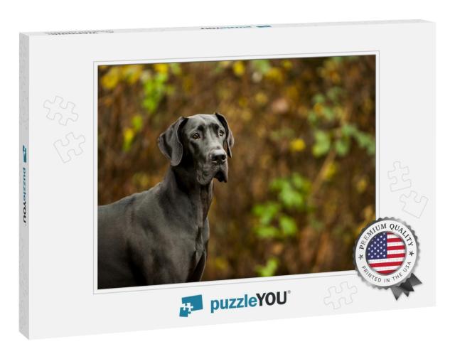 Great Dane Standing in Front of Vegetation... Jigsaw Puzzle