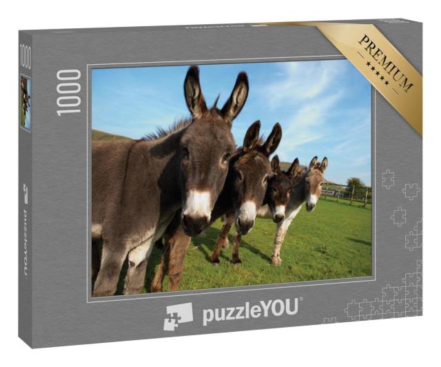 Puzzle 1000 Teile „Gruppe von Eseln auf einem Feld“
