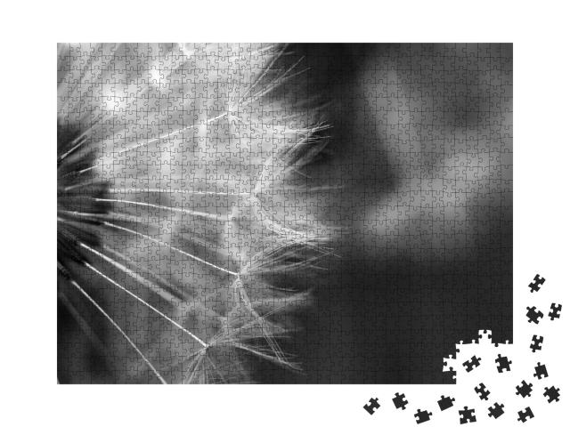 Puzzle 1000 Teile „Makrofotografie einer Pusteblume, schwarz-weiß“
