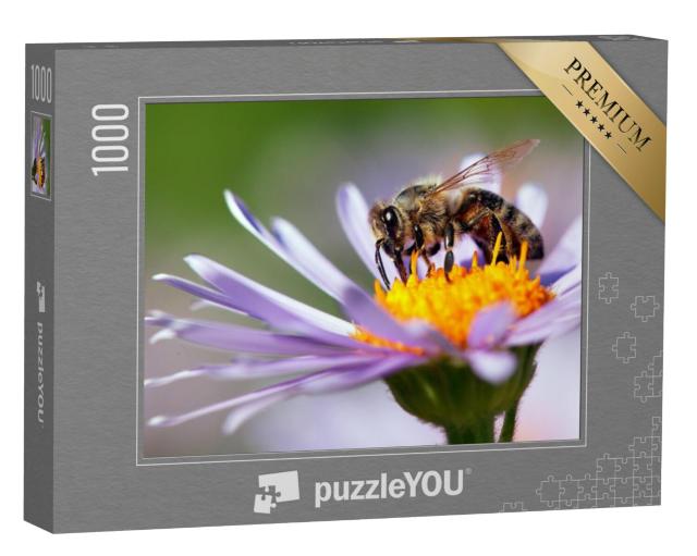 Puzzel 1000 stukjes „Een honingbij op een bloem“