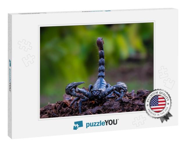 The Black Orc Scorpion, the Deadly Giant Scorpion Searche... Jigsaw Puzzle