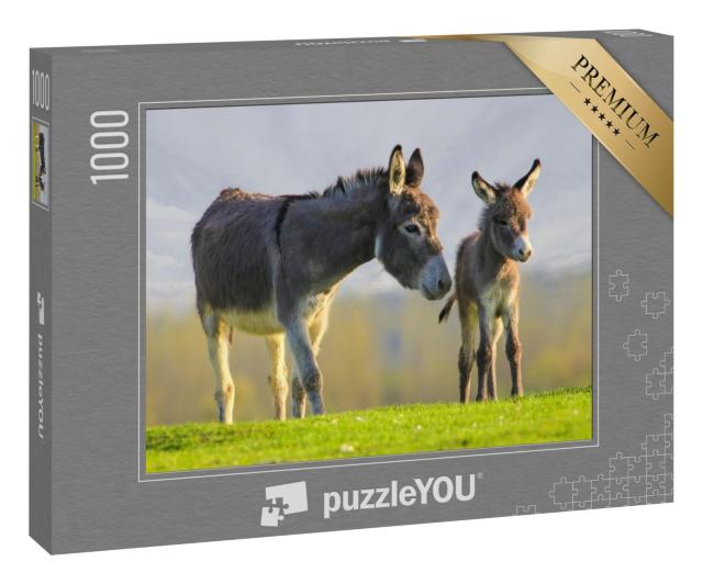 Puzzle 1000 Teile „Graues niedliches Eselbaby und Mutter auf Blumenwiese“