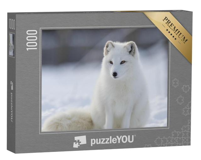 Puzzel 1000 stukjes „Poolvos in de winter“