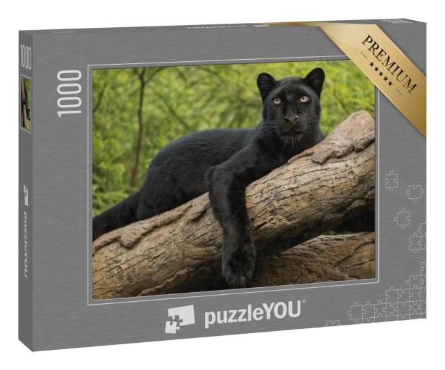 Puzzle 1000 Teile „Wildkatze, schwarzer Panther auf einem Baumstamm sitzend“