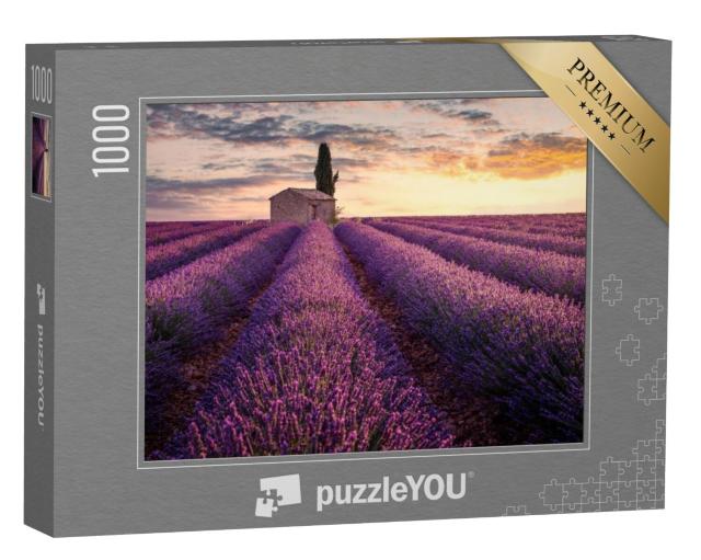 Puzzel 1000 stukjes „Een klein huis te midden van lavendelvelden“