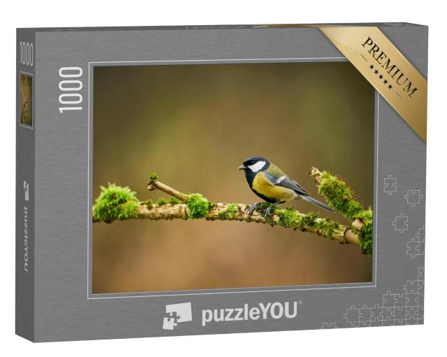 Puzzel 1000 stukjes „Koolmees op een met mos bedekte tak“