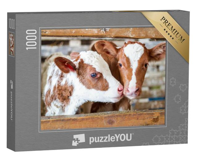 Puzzel 1000 stukjes „Twee koeienkalveren in een stal op het platteland“