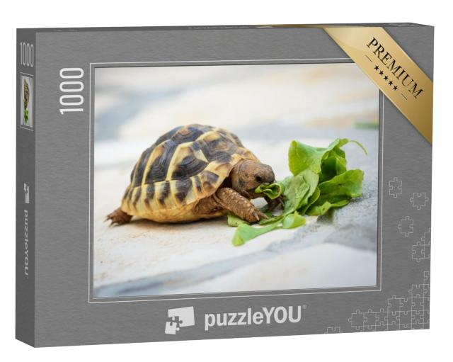 Puzzel 1000 stukjes „Huisdierschildpad eet zijn salade“