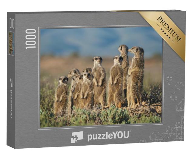 Puzzel 1000 stukjes „Stokstaartjesfamilie in Zuid-Afrika“