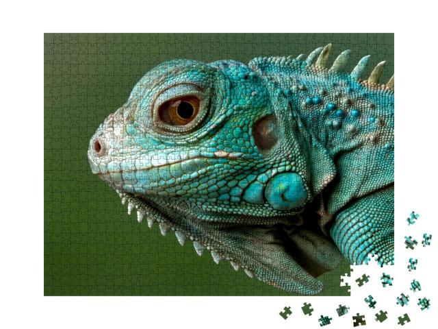 Puzzle 1000 Teile „Blauer Leguan: Nahaufnahme“