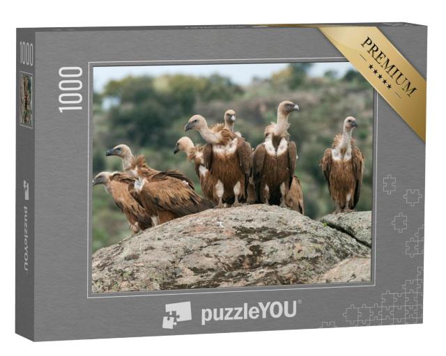 Puzzel 1000 stukjes „Vale gier“