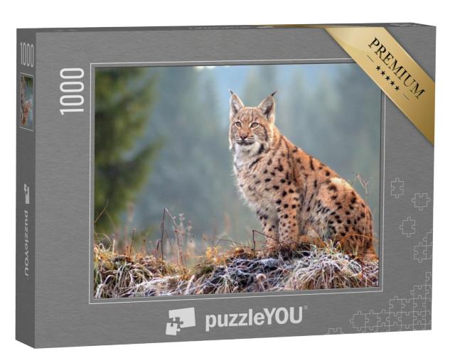 Puzzel 1000 stukjes „Euraziatische lynx in de Slowaakse Karpaten“