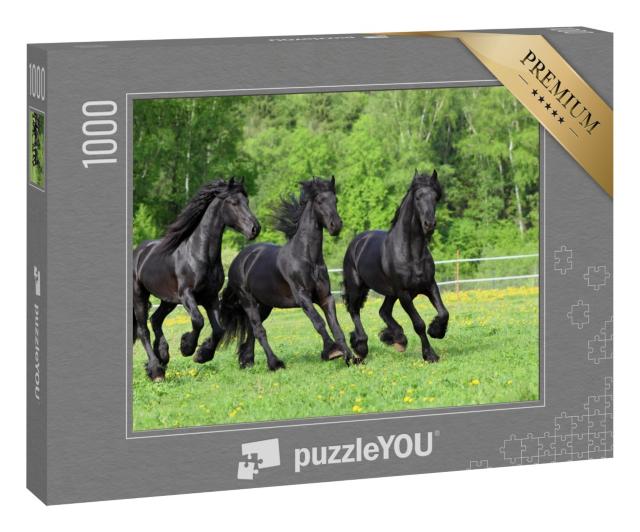 Puzzle 1000 Teile „Friesische Pferde galoppieren auf der Weide“