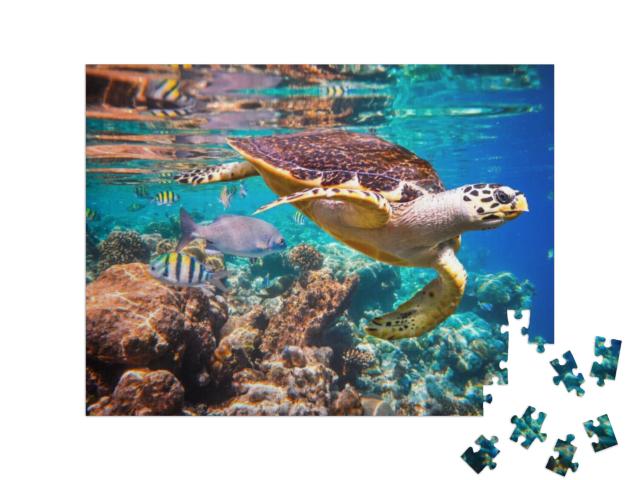 Puzzel 200 stukjes „Karetschildpad in het koraalrif“