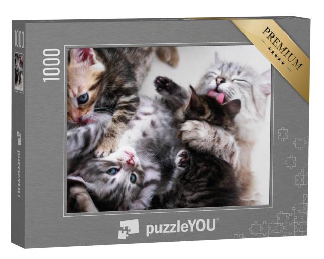 Puzzel 1000 stukjes „Moeder kat en kitten“