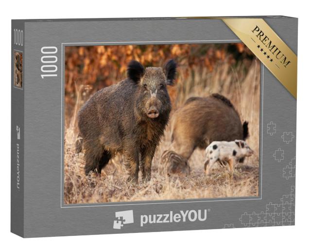 Puzzel 1000 stukjes „Wild zwijn beschermt zijn jongen“