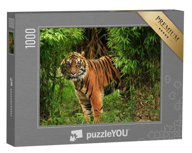 Puzzel 1000 stukjes „Mannelijke Bengaalse tijger“