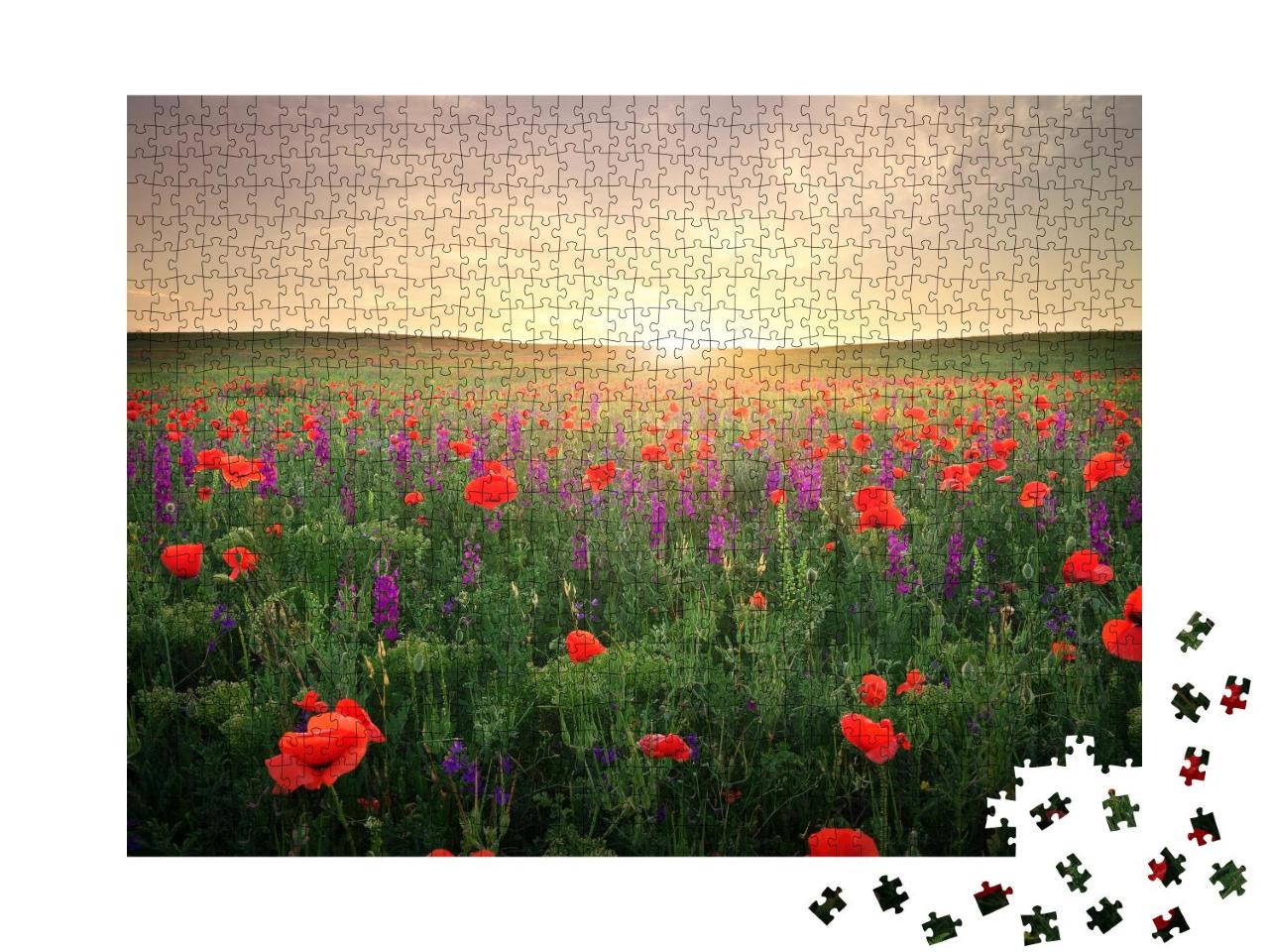 Puzzle 1000 Teile „Feld mit Gras, violetten Blumen und rotem Mohn“