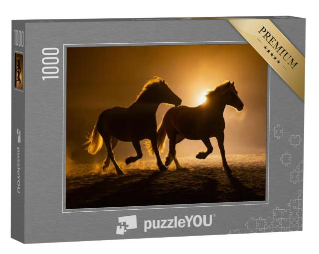 Puzzel 1000 stukjes „Silhouet van twee galopperende Haflinger paarden in de avondsfeer“