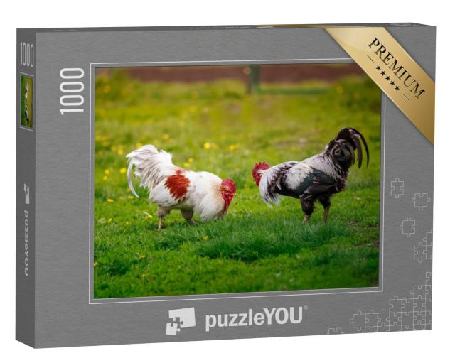 Puzzel 1000 stukjes „Twee dominante lullen, klaar om te vechten“