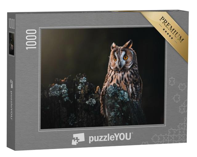 Puzzel 1000 stukjes „Ransuil Asio otus, zittend op een droge boom“