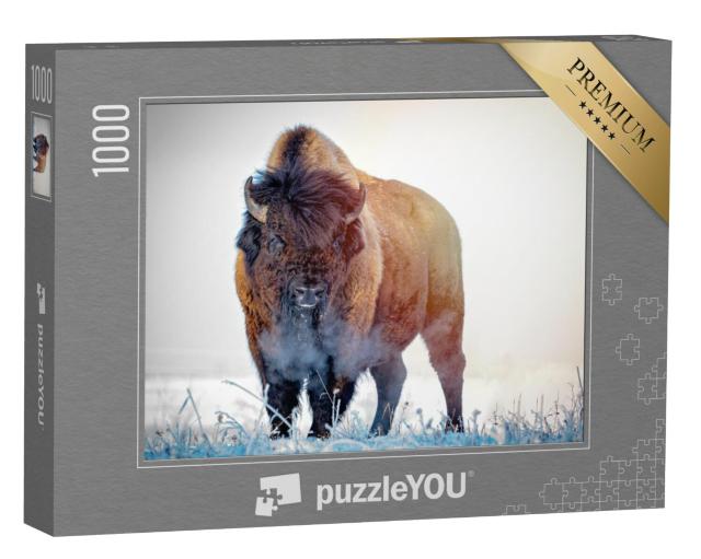 Puzzel 1000 stukjes „Prairiebizons op een winterochtend“