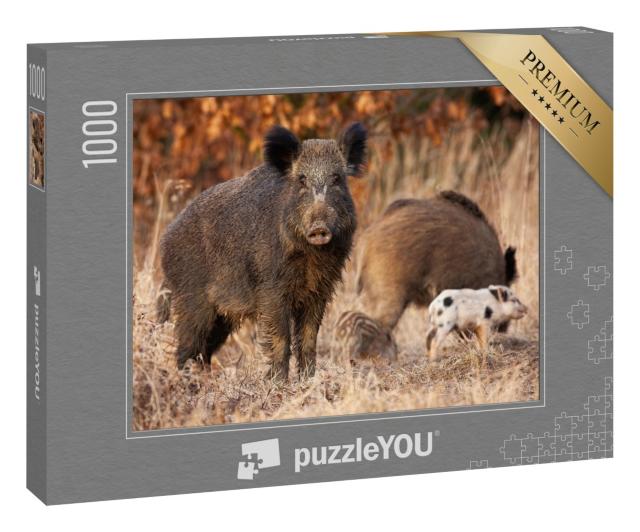 Puzzle „Wildschwein,  das seine jungen Frischlinge beschützt“