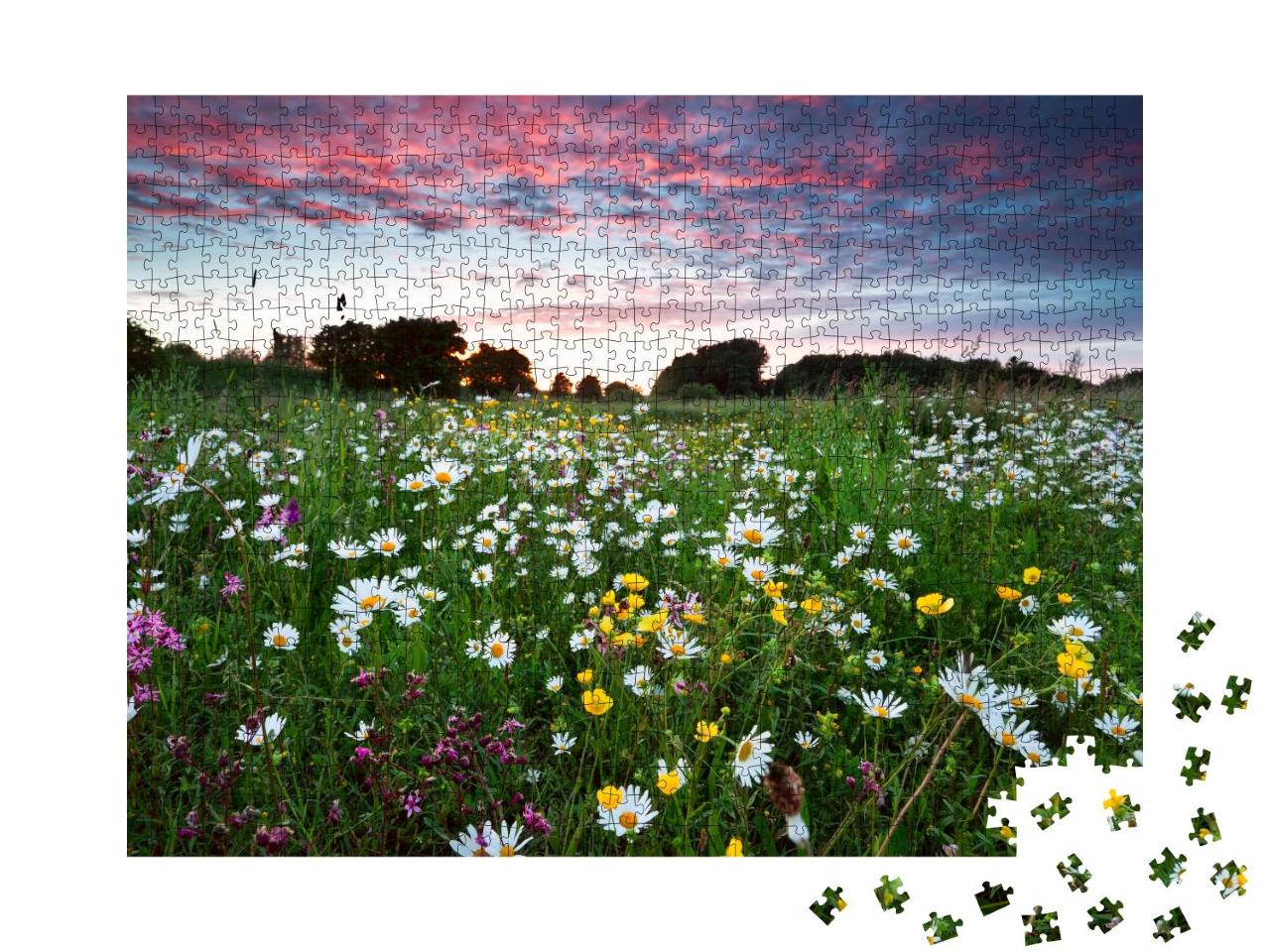 Puzzle 1000 Teile „ Sommer-Wildblumen auf der Wiese bei Sonnenuntergang“