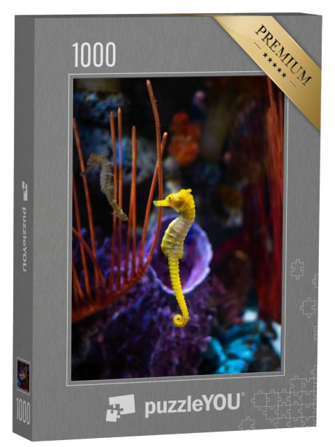 Puzzel 1000 stukjes „Zeepaardjes in het aquarium“