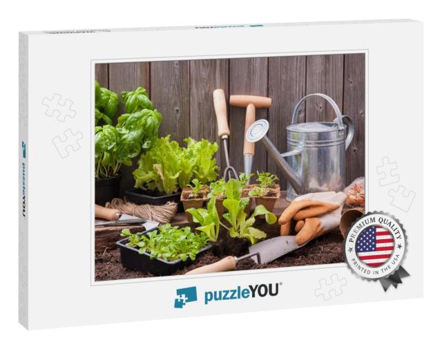 Seedlings of Lettuce with Gardening Tools Outside the Pot... Jigsaw Puzzle
