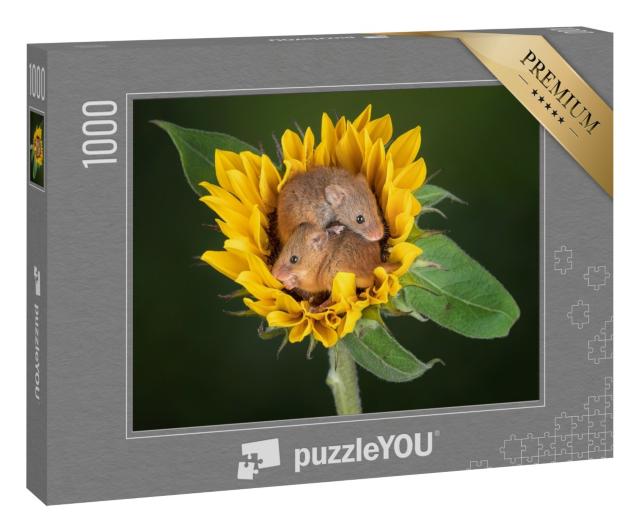 Puzzle 1000 Teile „Zwei Mäuse kuscheln sich in eine Sonnenblume“