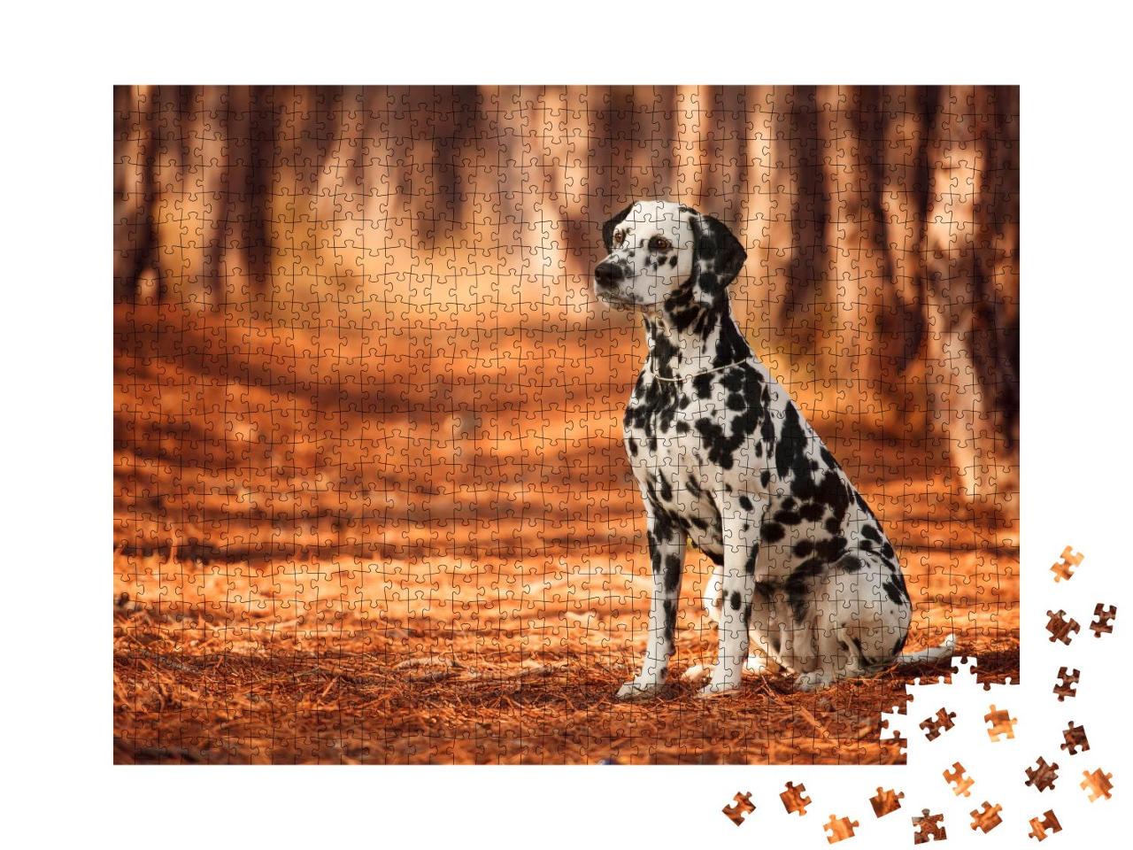 Puzzle 100 Teile „Hunderasse Dalmatiner beim Spaziergang“