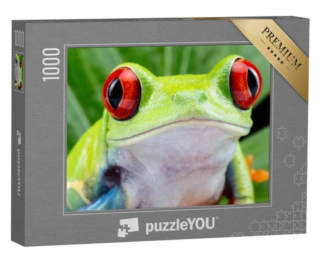 Puzzel 1000 stukjes „Roodoogmakikikker“