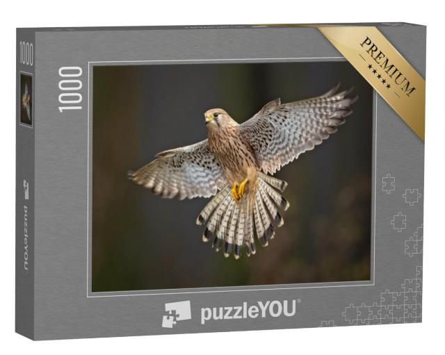 Puzzel 1000 stukjes „Gedetailleerde studie van een torenvalk tijdens de vlucht“