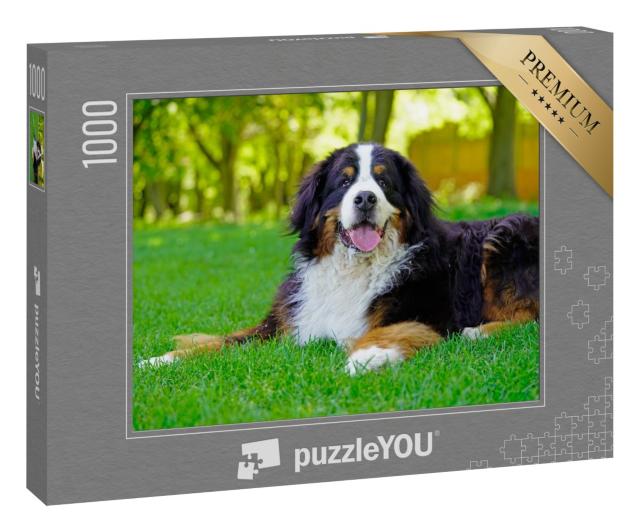 Puzzle 1000 Teile „Großer Berner Sennenhund, hechelnd auf dem Rasen“