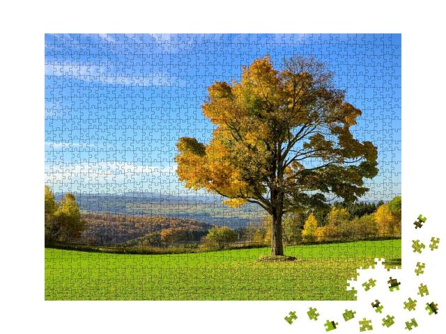 Puzzle 1000 Teile „Herbstlicher Baum im Erzgebirge, Deutschland“