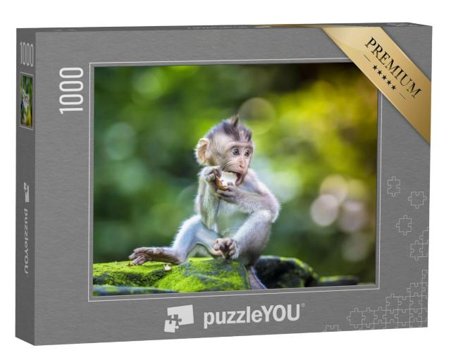 Puzzel 1000 stukjes „Klein baby-aapje in het apenbos van Ubud, Bali, Indonesië“