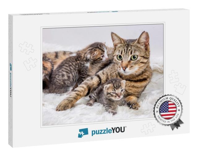 Mom Mother Cat & Baby Cat Kitten... Jigsaw Puzzle