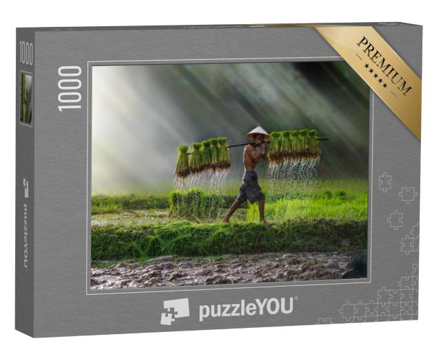 Puzzel 1000 stukjes „Rijst wordt geplant: Landbouw in Vietnam, rijstveld“