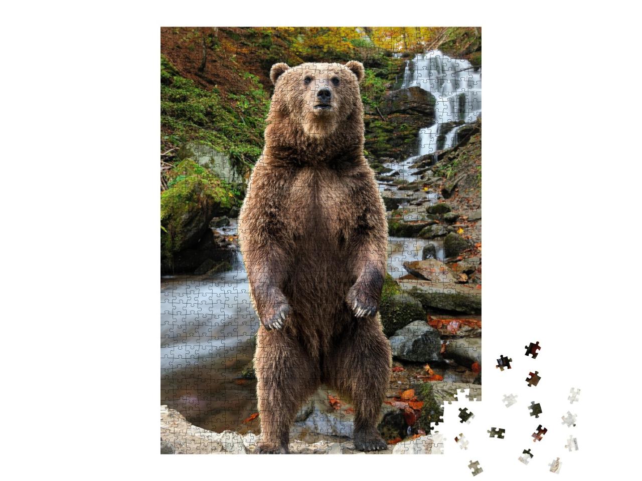 Puzzle 1000 Teile „Braunbär auf den Hinterbeinen stehend, Herbstwald, Wasserfall“