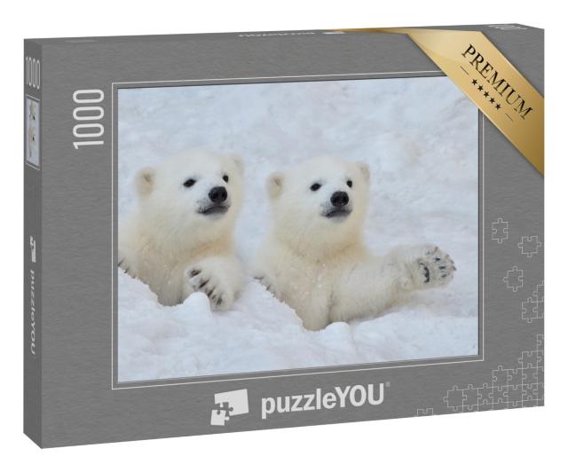 Puzzle „Zwei weiße Eisbärenjunge im Schnee“