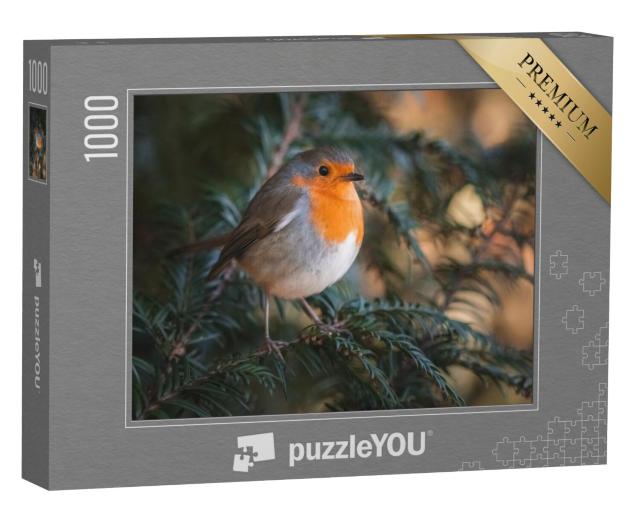 Puzzel 1000 stukjes „Een schattig roodborstje“