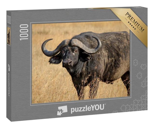 Puzzle 1000 Teile „Afrikanischer Büffel oder Kap-Büffel, einer der Big Five“