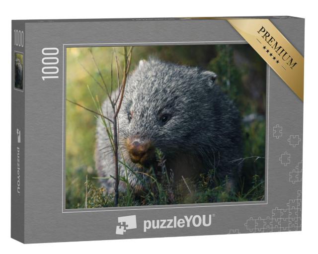 Puzzel 1000 stukjes „Wombat tijdens zijn snackrun“